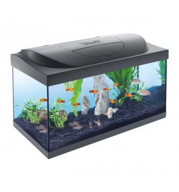 Akvarijum Tetra Starter Line LED 54 L