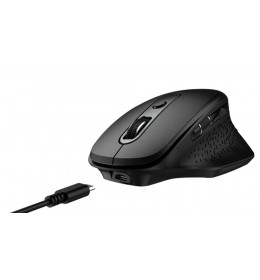 Ergo Pro Wireless Mouse