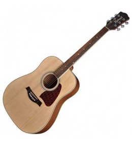 Akustična gitara Richwood RD-16