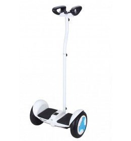 Mini segway balans skuter RD-9 10" white LG