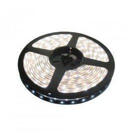 LED traka dnevno svetlo 60 LED / 1m LTR2835/60W-12H