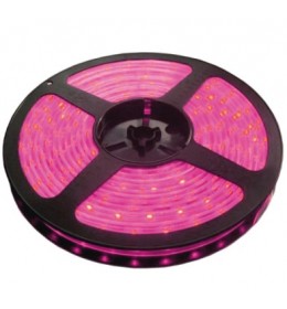 LED traka roza 60 LED / 1m LTR3528/60P-12