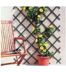 Merdevine Za Puzavice Trellis 50x150 cm