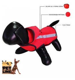 ZT P125S-56  Miniature pinscher