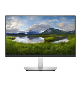 DELL 21.5 inch P2222H Professional IPS monitor