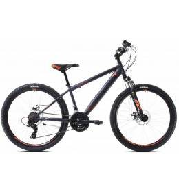 Mountain Bike Raven 26 XC sivo oranž 