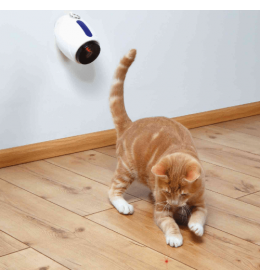 Moving Light laser za mačke