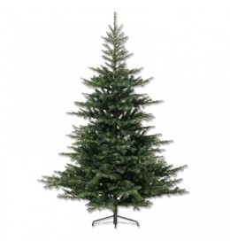 Novogodišnja jelka Grandis fir Everlands 150cm