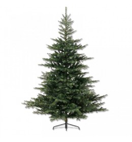 Novogodišnja jelka Grandis fir Everlands 150cm