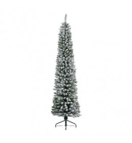 Pencil pine snowy