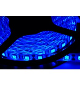 SMD LED traka 5m plava