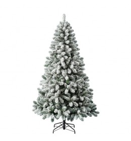 Novogodisnja jelka Snowy Oxford Pine 240 cm