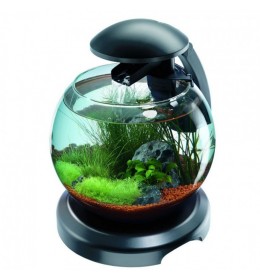 Tetra Akvarijum Globe Crni 6,8 l