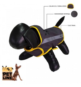 ZT P125S-412 Miniature pinscher